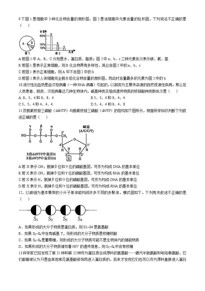 河南郑州市第四中学2024-2025学年高一上学期第一次月考生物试卷第3页
