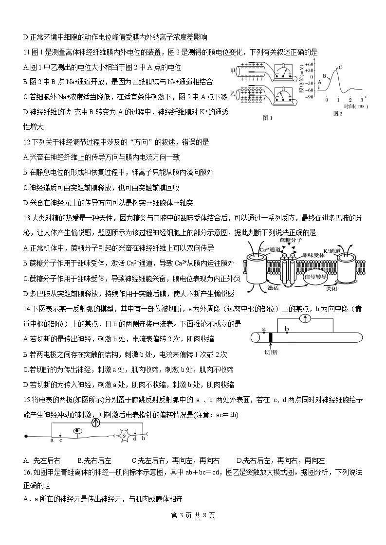 四川省内江市第六中学2024-2025学年上期高二第一次月考生物试题第3页