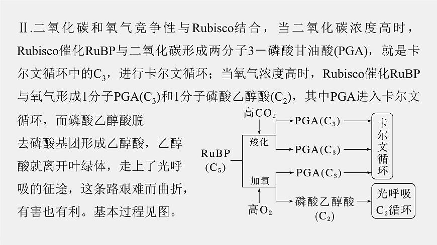(新人教版)高考生物一輪復習講義課件 第3單元 解惑練2 光呼吸和光抑制(含解析)第4頁