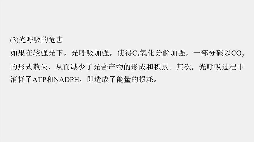(新人教版)高考生物一輪復習講義課件 第3單元 解惑練2 光呼吸和光抑制(含解析)第6頁