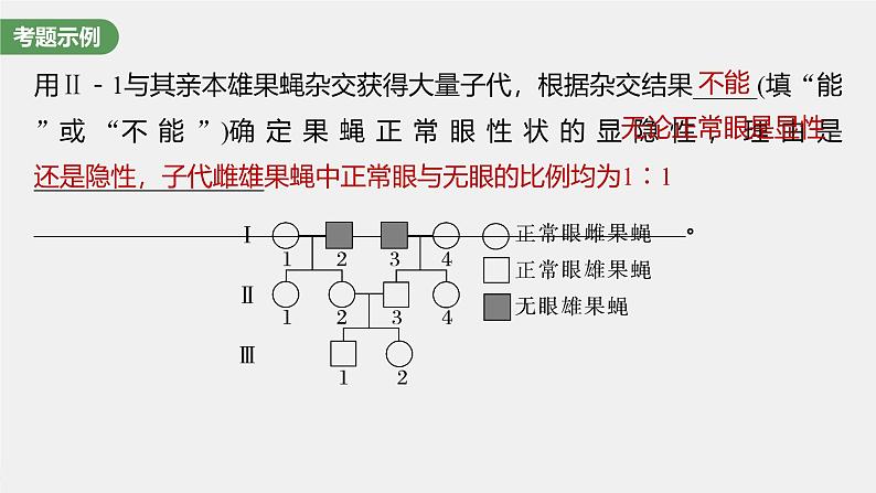 (新人教版)高考生物一轮复习讲义课件 第5单元 长句表达(三) 遗传实验中相关推理分析(含解析)03