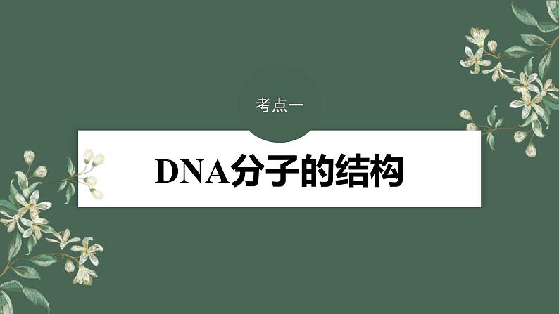 (新人教版)高考生物一轮复习讲义课件 第6单元 第2课时 DNA的结构与复制(含解析)第4页