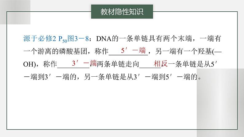 (新人教版)高考生物一轮复习讲义课件 第6单元 第2课时 DNA的结构与复制(含解析)第8页