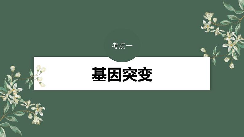 (新人教版)高考生物一轮复习讲义课件 第7单元 第1课时 基因突变与基因重组(含解析)第4页