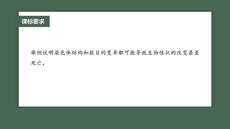 (新人教版)高考生物一轮复习讲义课件 第7单元 第2课时 染色体变异(含解析)第2页