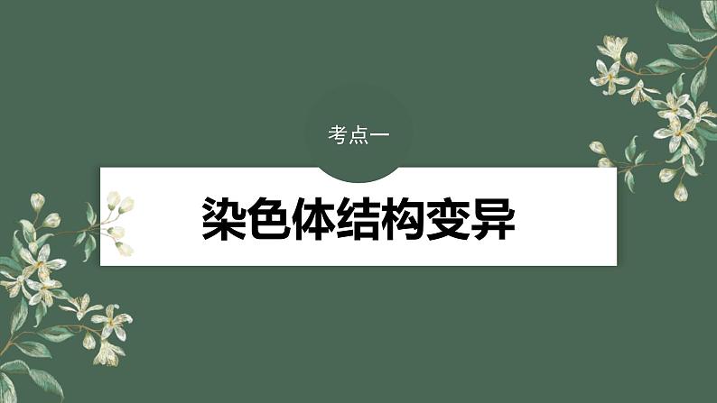 (新人教版)高考生物一轮复习讲义课件 第7单元 第2课时 染色体变异(含解析)第4页