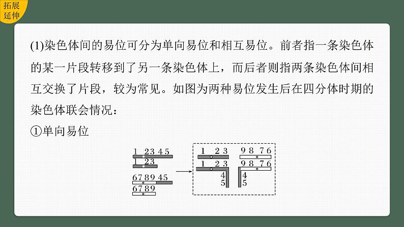 (新人教版)高考生物一轮复习讲义课件 第7单元 第2课时 染色体变异(含解析)第7页