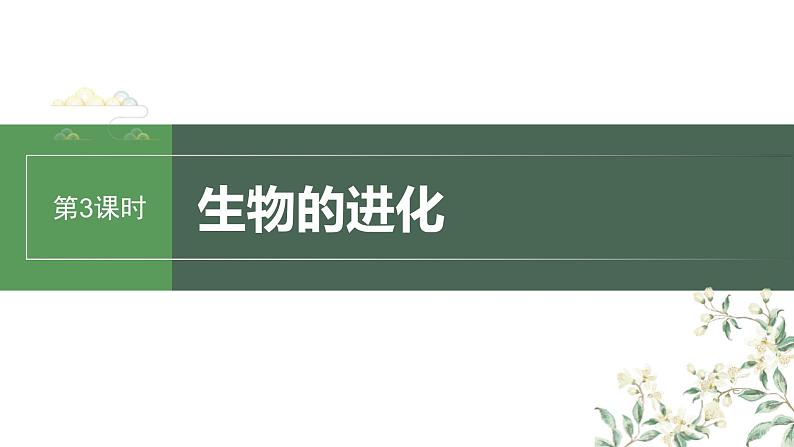 (新人教版)高考生物一轮复习讲义课件 第7单元 第3课时 生物的进化(含解析)第1页