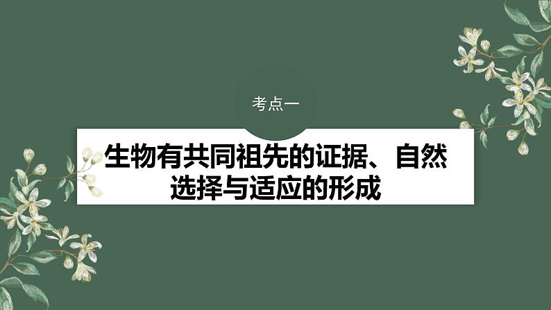 (新人教版)高考生物一轮复习讲义课件 第7单元 第3课时 生物的进化(含解析)第4页