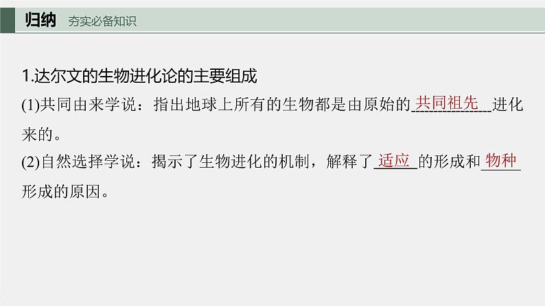 (新人教版)高考生物一轮复习讲义课件 第7单元 第3课时 生物的进化(含解析)第5页
