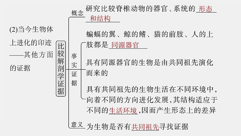 (新人教版)高考生物一轮复习讲义课件 第7单元 第3课时 生物的进化(含解析)第7页
