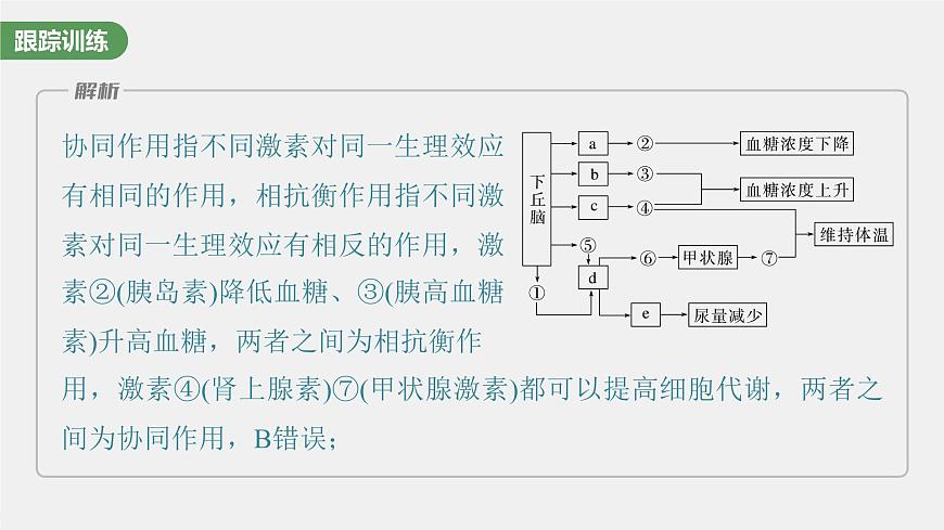 （新人教版）高考生物一輪復(fù)習(xí)講義課件 第八單元　微專題六　動(dòng)物生命活動(dòng)調(diào)節(jié)模型的構(gòu)建和分析（含解析）第5頁(yè)