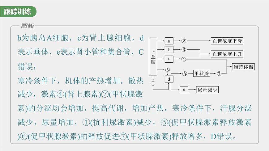 （新人教版）高考生物一輪復(fù)習(xí)講義課件 第八單元　微專題六　動(dòng)物生命活動(dòng)調(diào)節(jié)模型的構(gòu)建和分析（含解析）第6頁(yè)