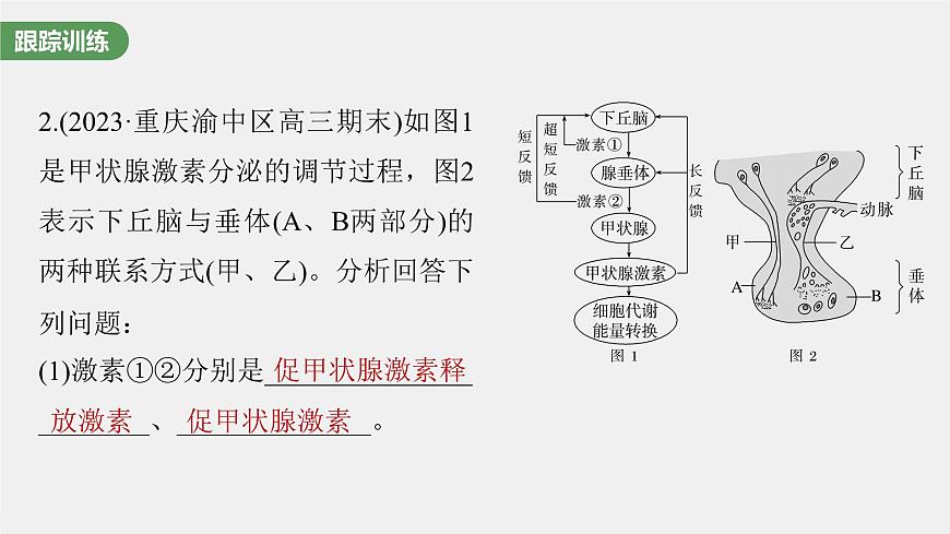 （新人教版）高考生物一輪復(fù)習(xí)講義課件 第八單元　微專題六　動(dòng)物生命活動(dòng)調(diào)節(jié)模型的構(gòu)建和分析（含解析）第7頁(yè)