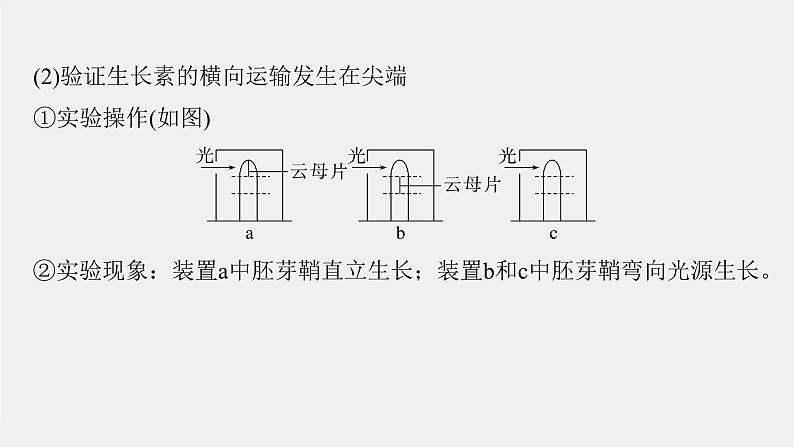 (新人教版)高考生物一轮复习讲义课件 第八单元 微专题七 植物激素调节的相关实验探究(含解析)第5页