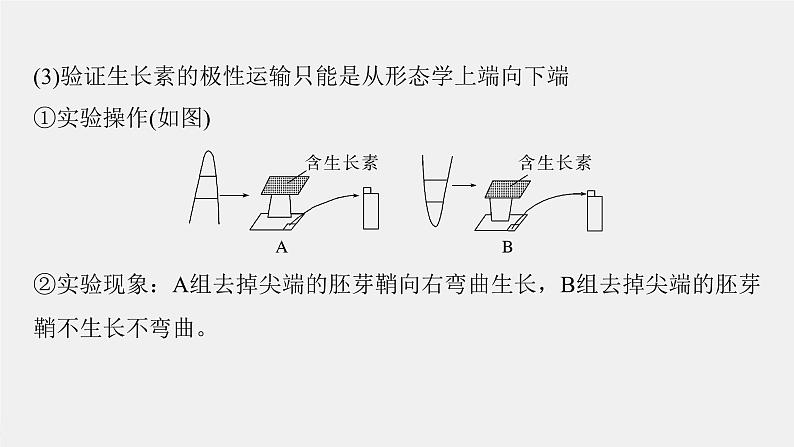 (新人教版)高考生物一轮复习讲义课件 第八单元 微专题七 植物激素调节的相关实验探究(含解析)第6页