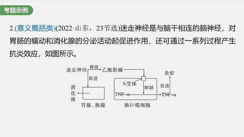 (新人教版)高考生物一轮复习讲义课件 第8单元 长句表达(四) 个体稳态中相关过程变化机理分析(含解析)第3页