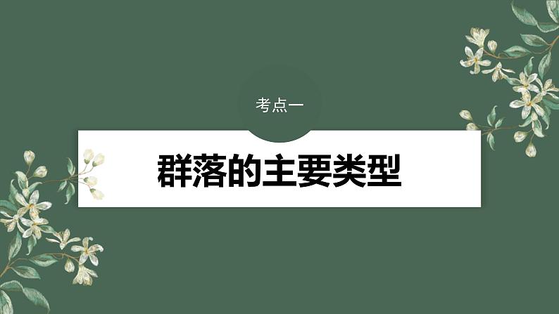 (新人教版)高考生物一轮复习讲义课件 第9单元 第4课时 群落的主要类型及演替(含解析)第4页