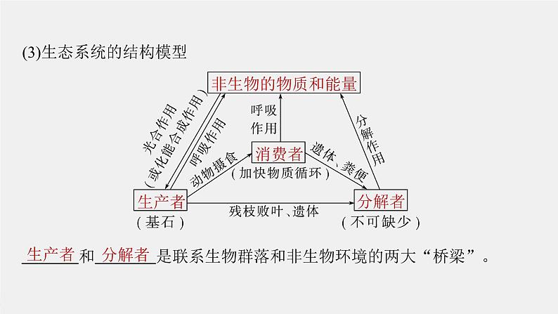 (新人教版)高考生物一轮复习讲义课件 第9单元 第5课时 生态系统的结构(含解析)第8页