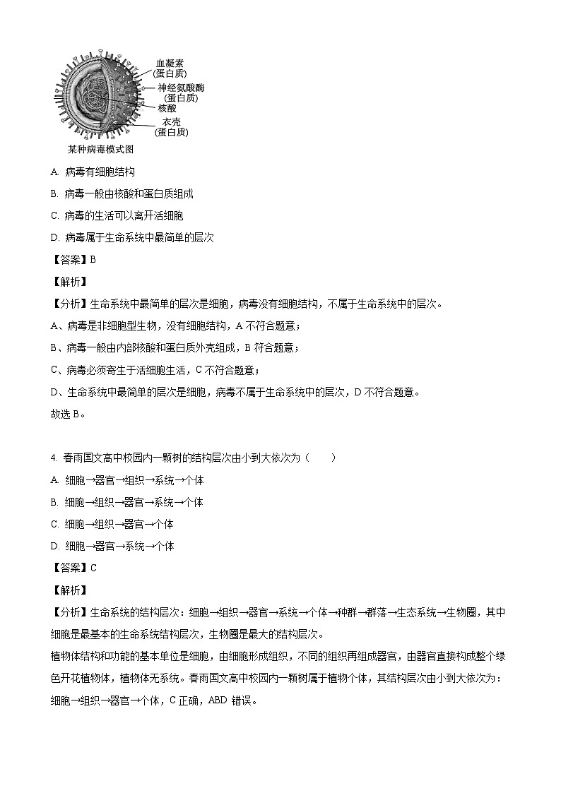 河南省鄭州文華高級(jí)中學(xué)2024-2025學(xué)年高一上學(xué)期第一次月考生物試卷（解析版）第2頁(yè)