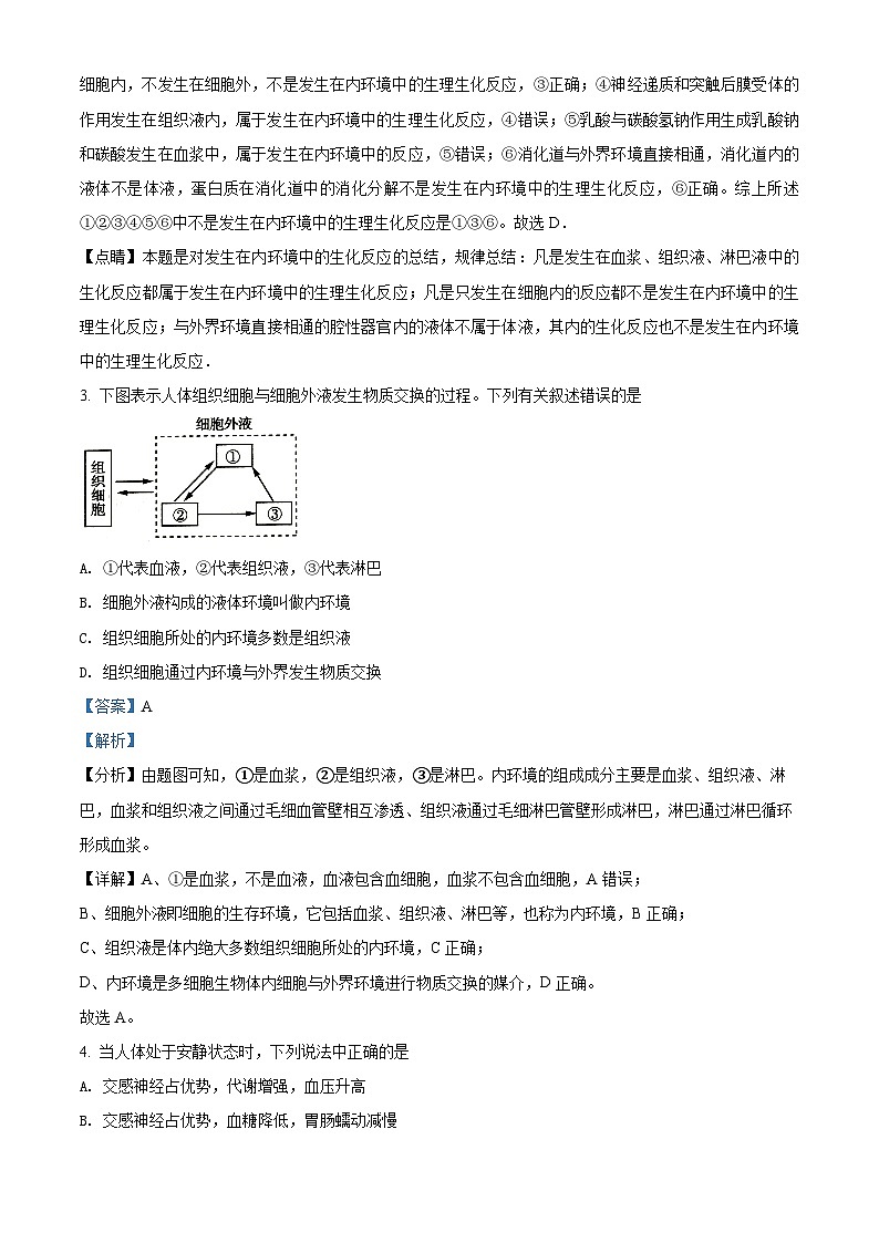 精品解析:遼寧省撫順市六中2020-2021學(xué)年高二上學(xué)期期末生物試題(解析版)第2頁