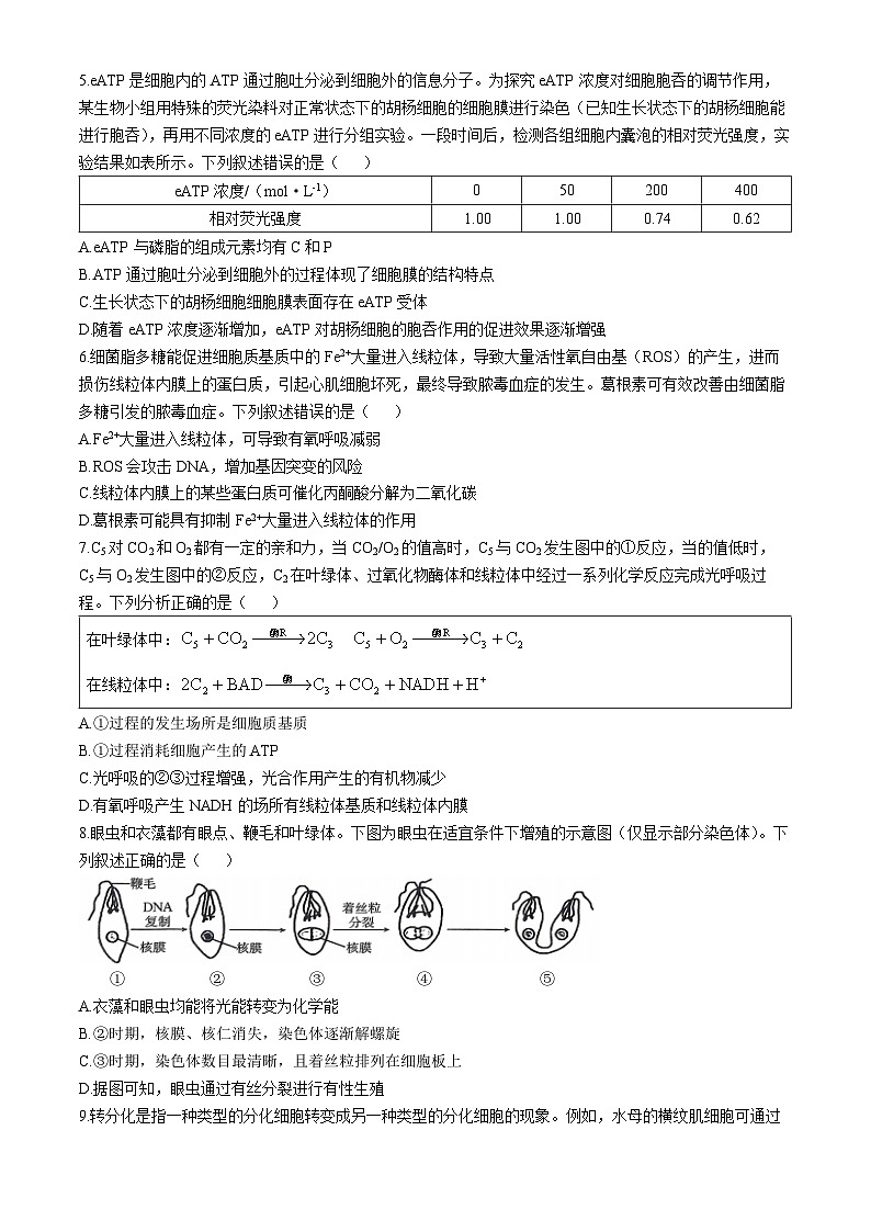 山西省三晋名校联考2024-2025学年高三上学期10月考试生物学试题(含解析)第2页