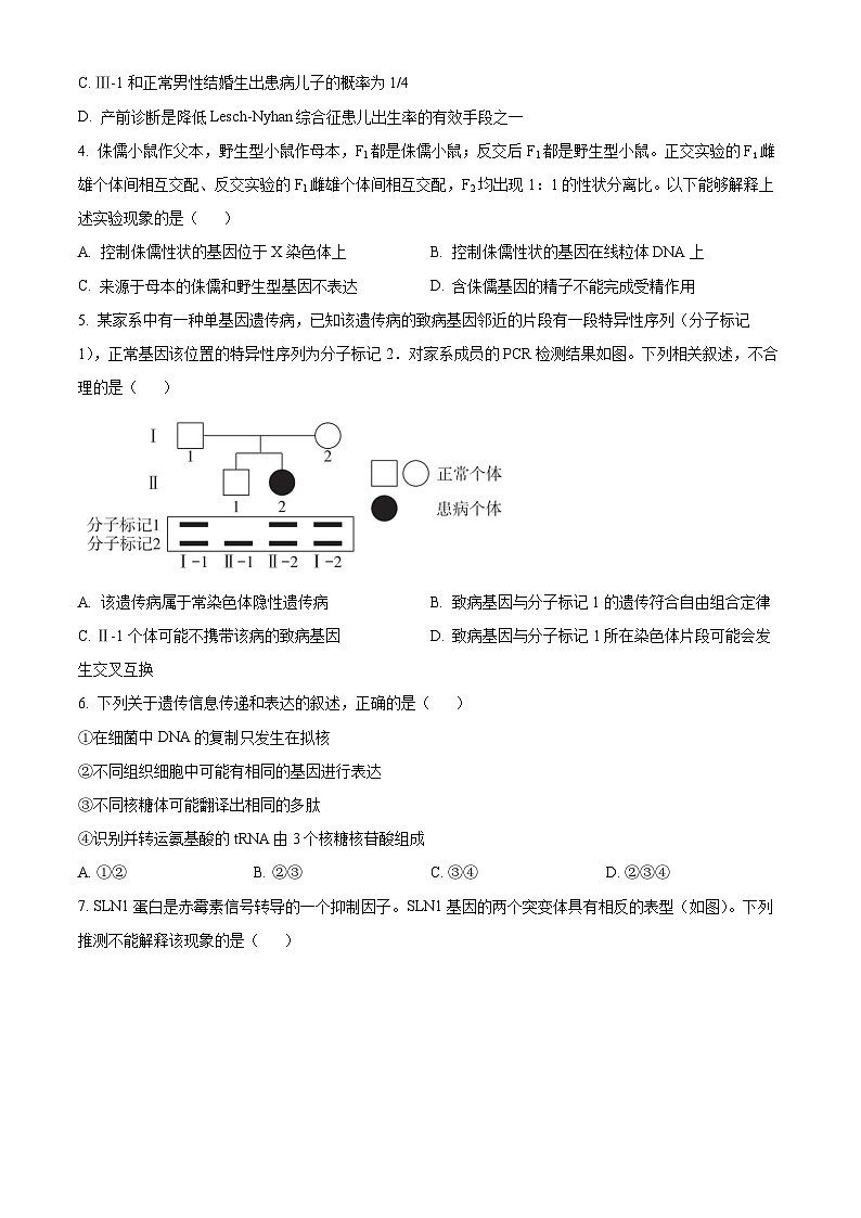北京市海淀区2024-2025学年高三上学期10月月考生物试卷 Word版无答案第2页