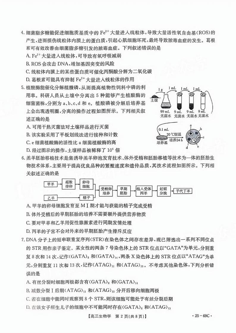 广东2025届高三10月金太阳联考生物试题第2页