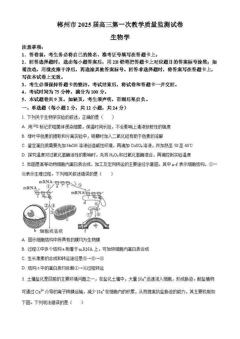 精品解析:湖南省郴州市2024—2025学年高三上学期第一次模拟考试生物试题(原卷版)第1页