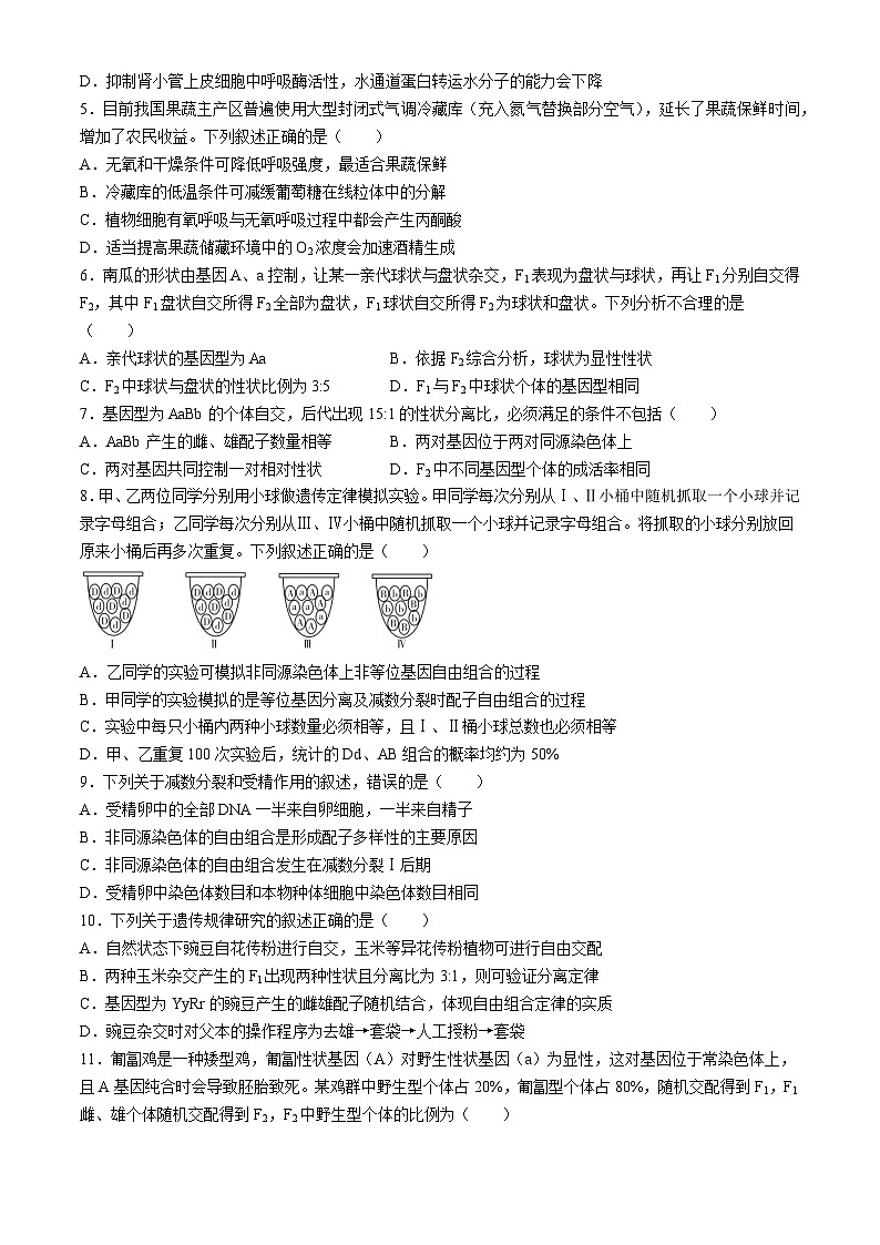 安徽省六安市叶集区叶集皖西当代中学2024-2025学年高三上学期10月月考生物试题第2页