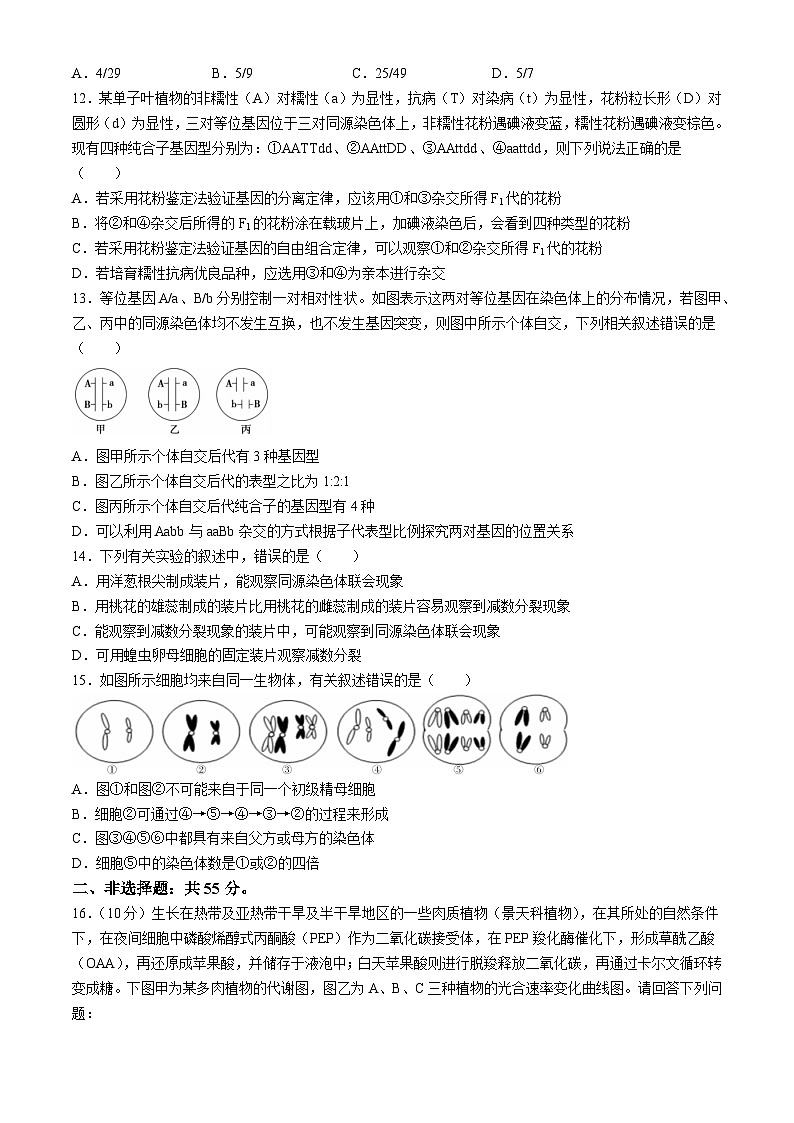 安徽省六安市叶集区叶集皖西当代中学2024-2025学年高三上学期10月月考生物试题第3页
