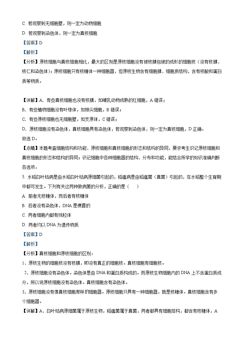 湖北省荆州市江陵中学2024-2025学年高一上学期10月月考生物试卷(Word版附解析)03