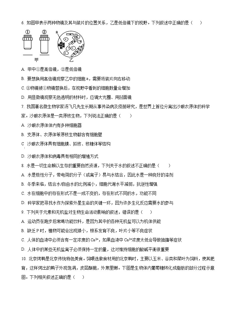 湖北省荆州市江陵中学2024-2025学年高一上学期10月月考生物试卷(Word版附解析)02