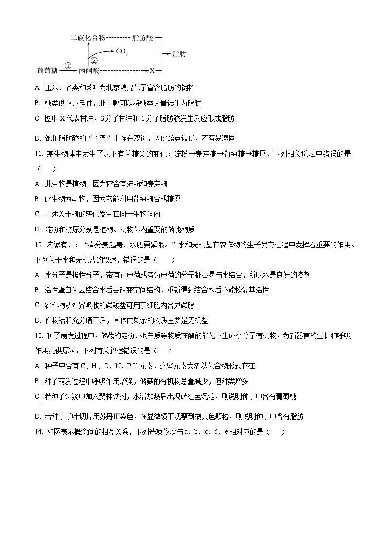 湖北省荆州市江陵中学2024-2025学年高一上学期10月月考生物试卷(Word版附解析)03