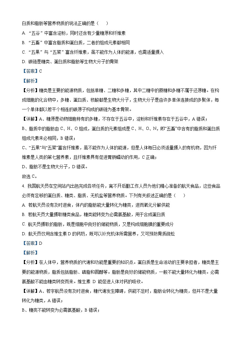 湖北省沙市中学2024-2025学年高一上学期期中考试生物试题 Word版含解析第2页