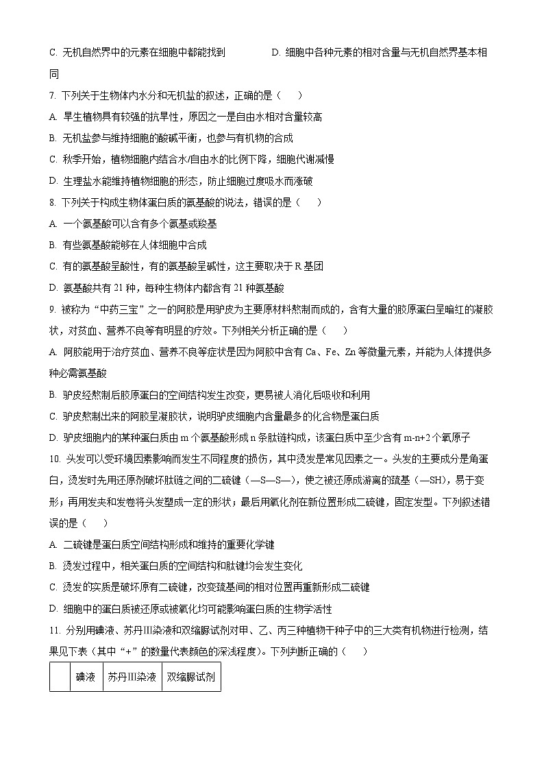 湖北省沙市中学2024-2025学年高一上学期期中考试生物试题 Word版无答案第2页