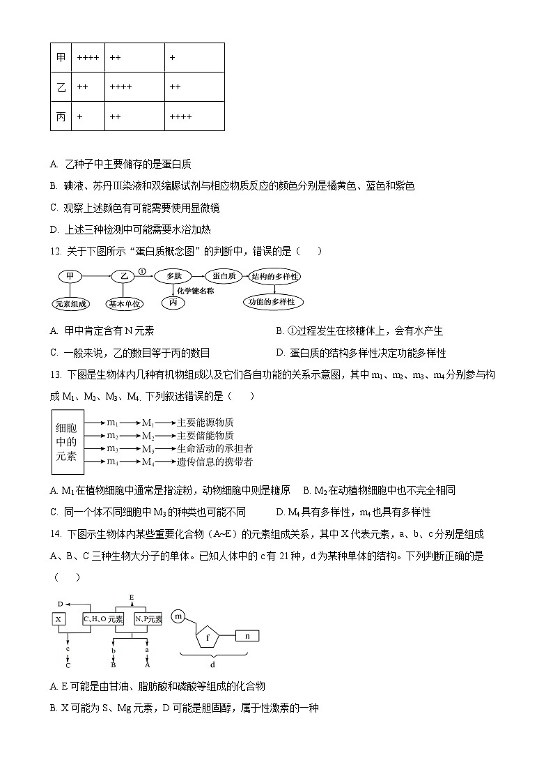 湖北省沙市中学2024-2025学年高一上学期期中考试生物试题 Word版无答案第3页