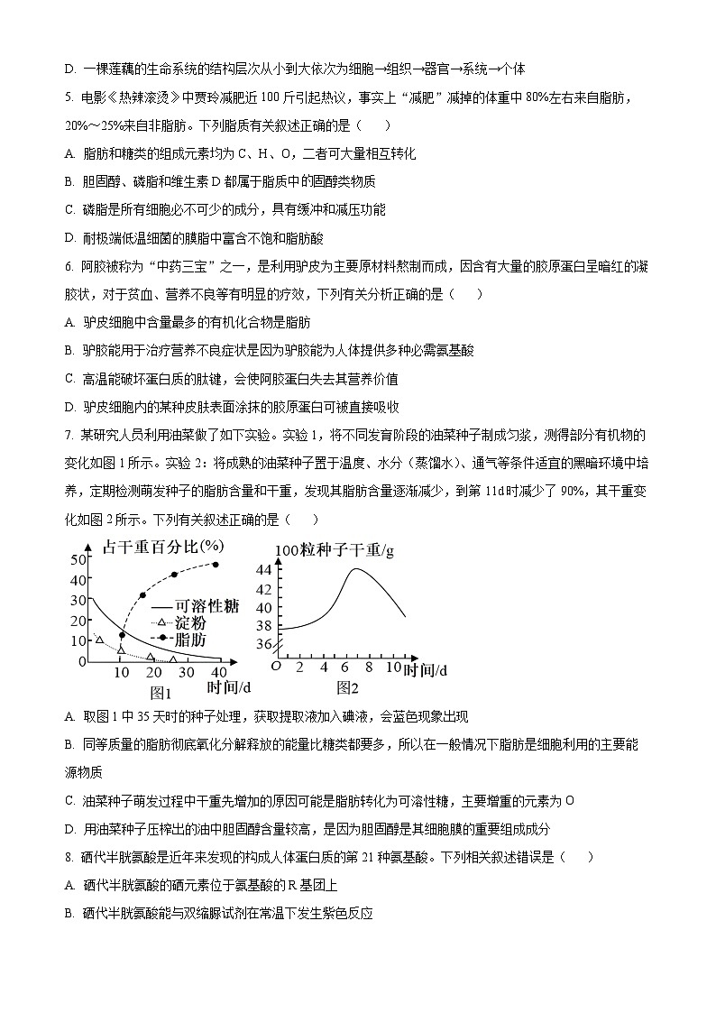 湖北省武汉市洪山高级中学2024-2025学年高一上学期10月考试生物试卷(Word版附解析)02