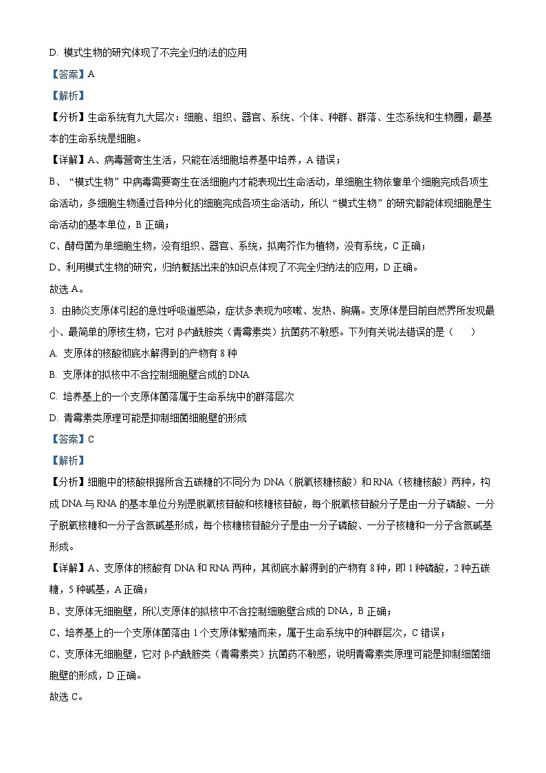 湖北省武汉市洪山高级中学2024-2025学年高一上学期10月考试生物试卷(Word版附解析)02