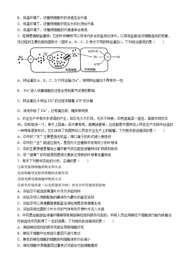 河南省2025届高三上学期10月联考(二)生物试题 Word版含解析第2页