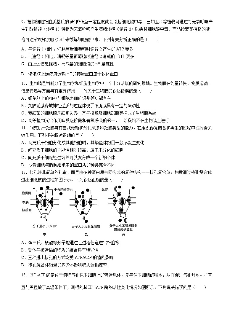 河南省2025届高三上学期10月联考(二)生物试题 Word版含解析第3页
