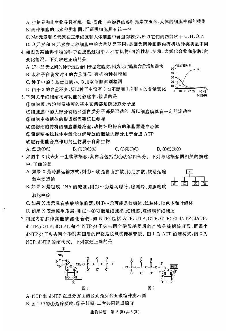 生物第2页