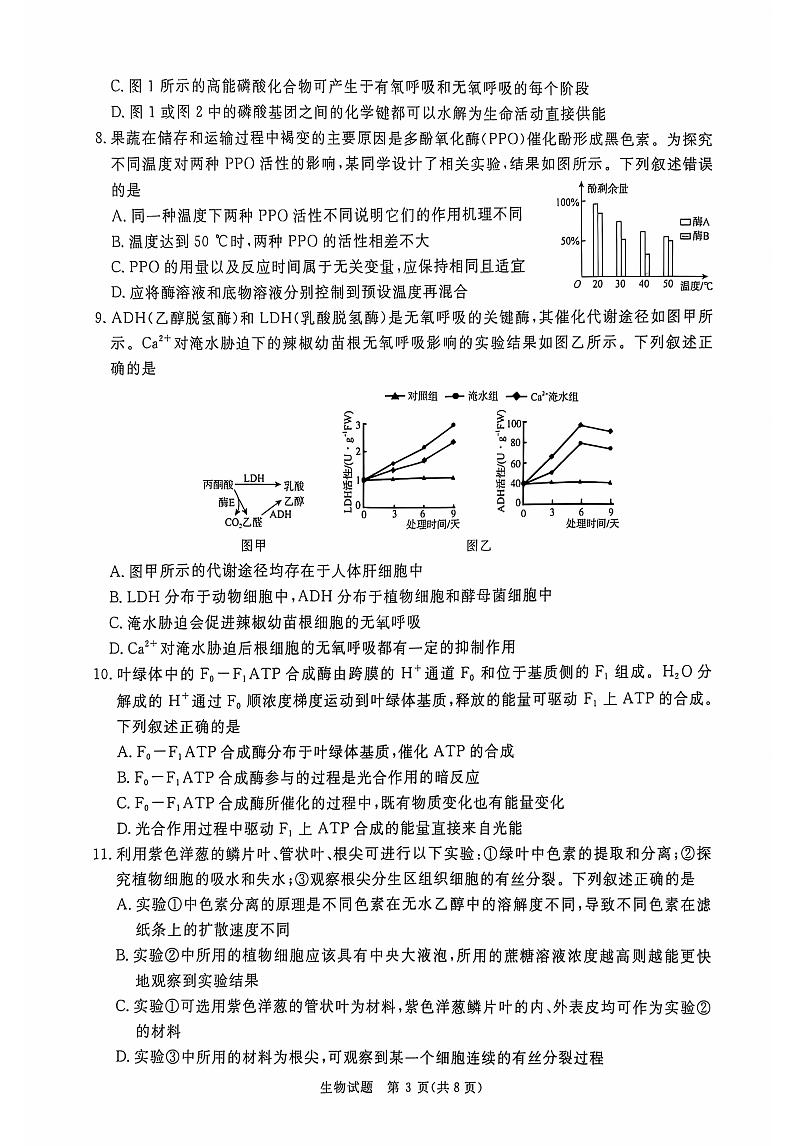 生物第3页