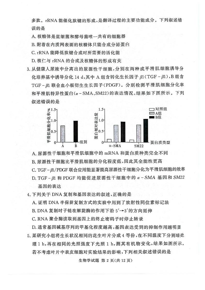 【补齐重发】【河南卷】河南省湘豫名校2024-2025学年高三上学期9月新高考适应性调研考试(9.19-9.20) 生物试卷第2页