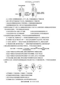 生物丨天壹名校聯(lián)盟湖南省2025屆高三10月一輪復(fù)習(xí)大聯(lián)考（二）生物試卷及答案