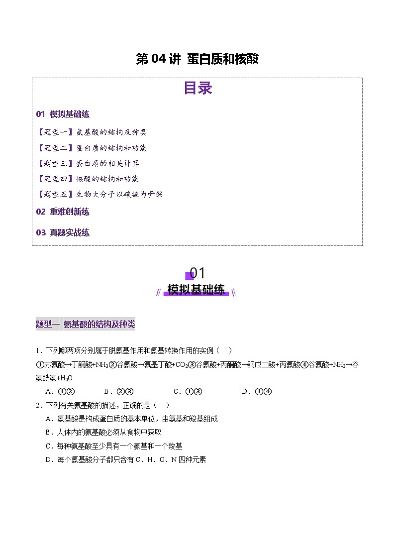 新高考生物一轮复习讲练测第04讲 蛋白质和核酸(练习)(原卷版)第1页