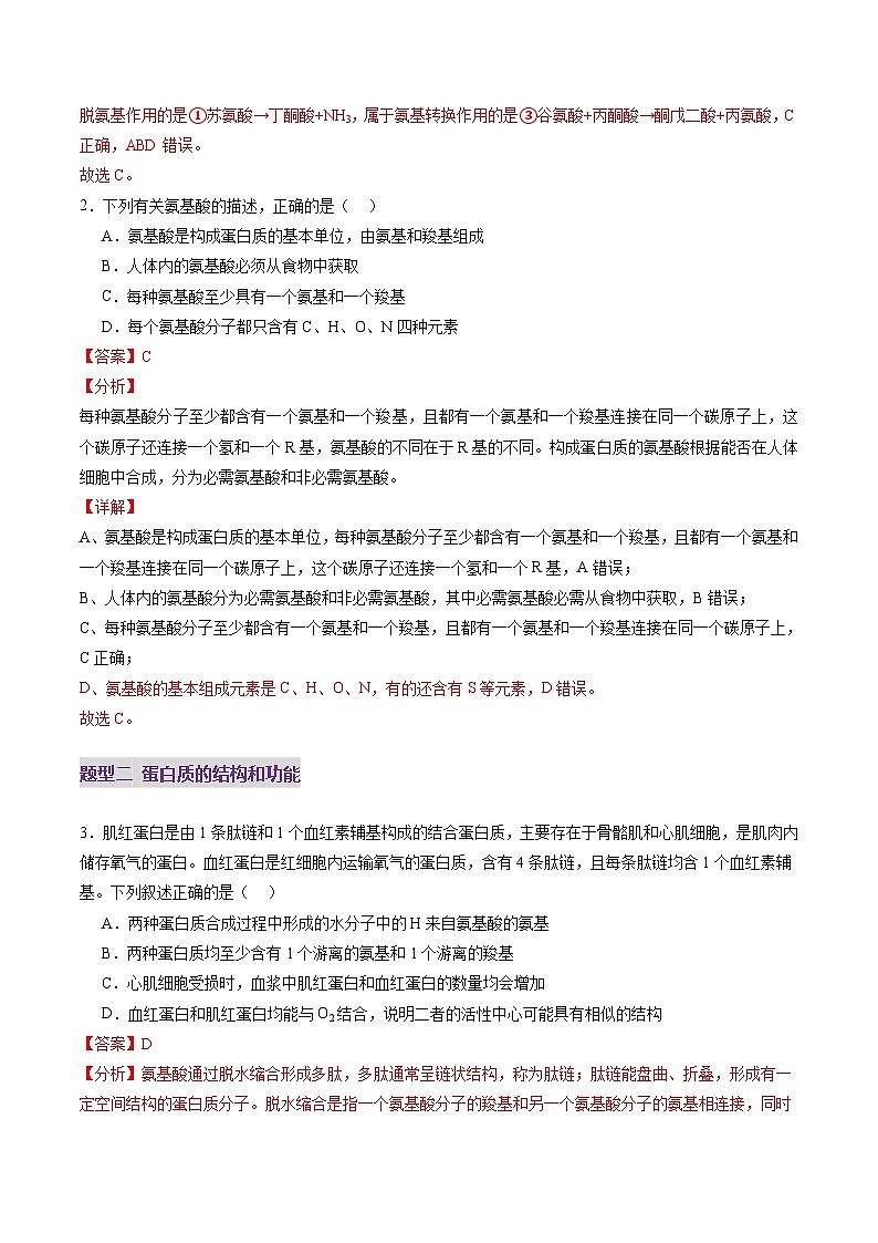 新高考生物一轮复习讲练测第04讲 蛋白质和核酸(练习)(解析版)第2页