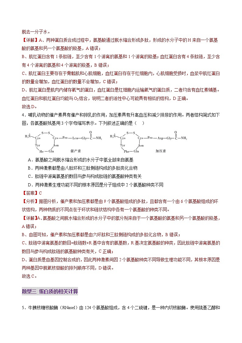 新高考生物一轮复习讲练测第04讲 蛋白质和核酸(练习)(解析版)第3页