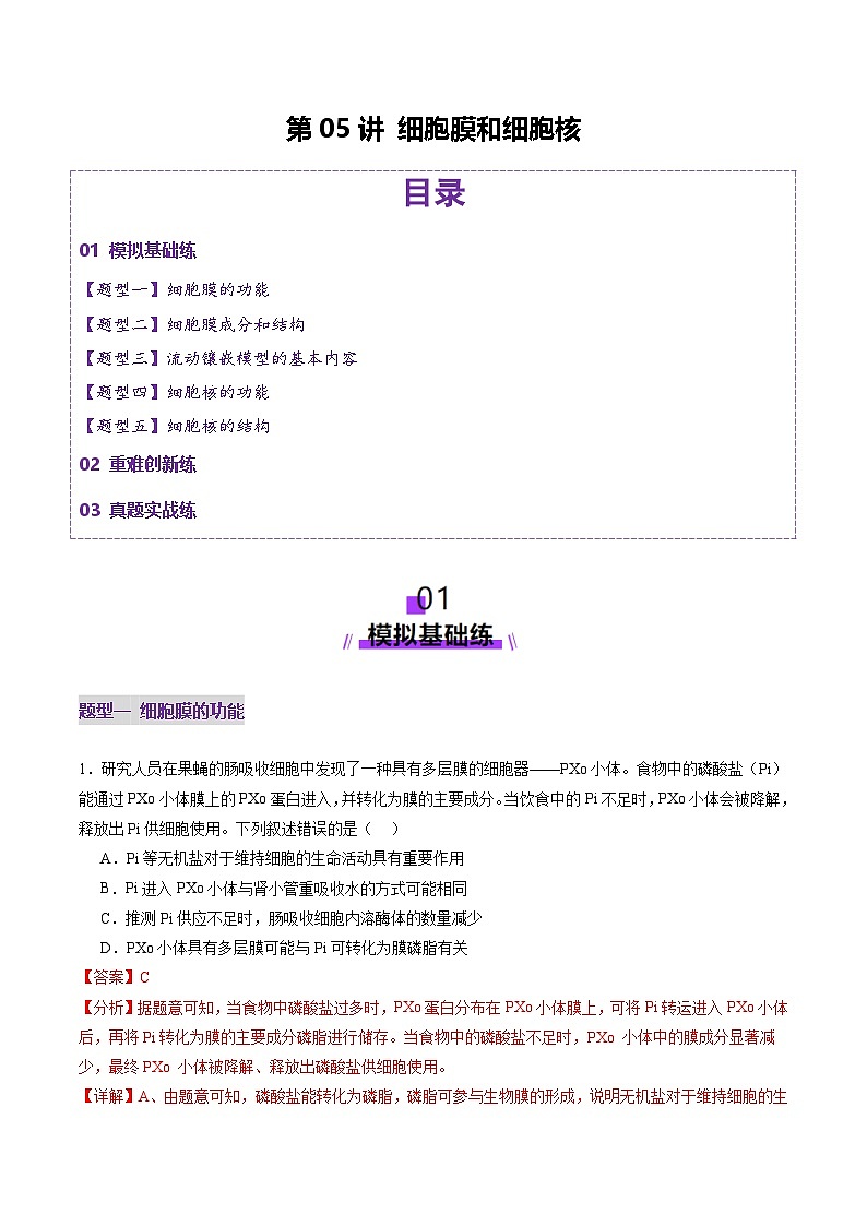 新高考生物一轮复习讲练测第05讲 细胞膜和细胞核(练习)(2份,原卷版+解析版)01