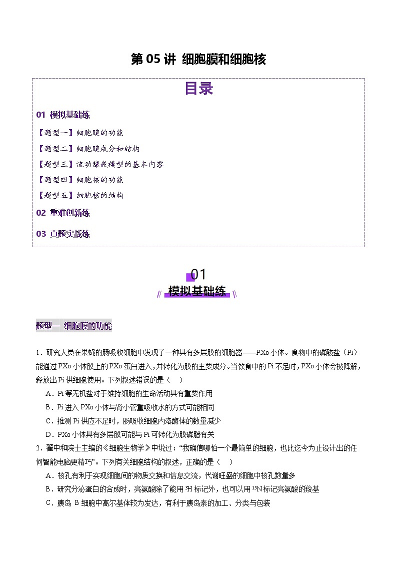 新高考生物一轮复习讲练测第05讲 细胞膜和细胞核(练习)(2份,原卷版+解析版)01